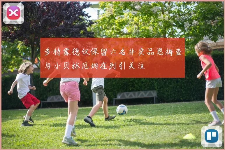 多特蒙德仅保留六名非卖品恩梅查与小贝林厄姆在列引关注